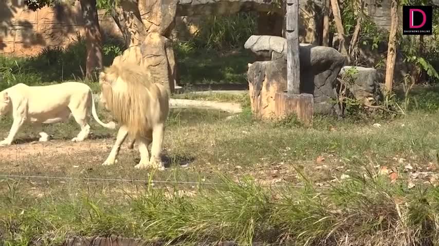 sututientrichapboydudoanmarocphap3960-480p-1671004110.mp4