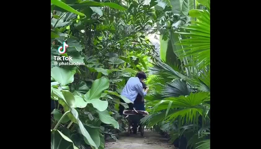 thieu-gia-tra-vinh-cong-khai-khoa-moi-ngot-ngao-voi-quynh-luong-2sao-1690446748.mp4