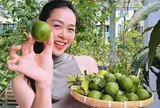 “Ngọc nữ trăm tỷ” tuổi 33 làm mẹ đơn thân, sống trong nhà phố 100m², lên sân thượng là cả vườn rau trái xanh mướt