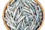 4 loại cá tốt cho tim mạch và xương khớp, giàu omega-3, có loại rẻ tiền bán đầy chợ Việt nhiều người thường ăn