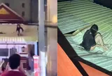 Rơi từ tầng 8, người phụ nữ tỉnh lại và làm một việc khiến nhiều người ngỡ ngàng