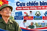 Theo quy định mới nhất: 3 quyền lợi đáng chú ý Cựu chiến binh cần biết
