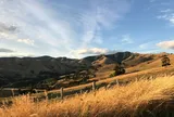 New Zealand lãng mạn trong mắt cô gái Việt
