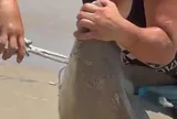 Clip: Đám đông vây quanh con cá mập mắc cạn, chỉ có người phụ nữ này dùng tay không giữ miệng con vật và thực hiện màn giải cứu táo bạo