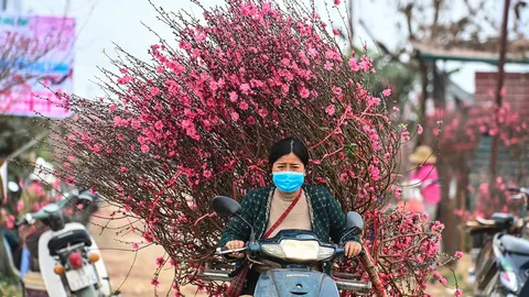 Tiểu thương mòn mỏi đợi khách mua đào, quất những ngày sát Tết