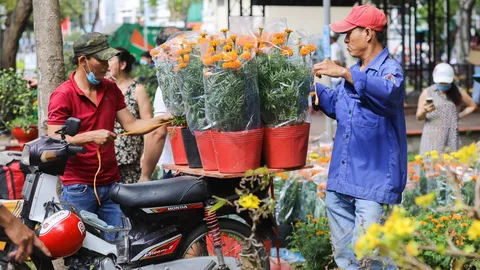 TP.HCM: Tiểu thương chợ hoa đồng loạt 'xả hàng' về quê ăn Tết