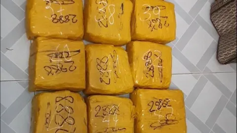 Toàn cảnh quá trình bốn ngày vây bắt đường dây ma túy xuyên biên giới đưa 217 kg ma tuý vào Sài Gòn