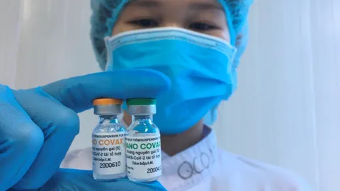 Chuẩn bị thử nghiệm giai đoạn 1 vaccine COVID-19 của Việt Nam trên người