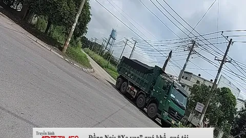 Đồng Nai: “Xe vua” quá khổ, quá tải ngang nhiên lộng hành