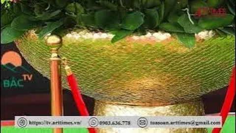 Cận cảnh những siêu cây được "hét giá" cả tỷ bạc trưng Tết