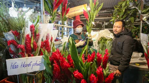 Đêm không ngủ ở chợ hoa lớn nhất Hà Nội giáp Tết