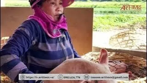 Phiên chợ đặc biệt, có nghề bồng heo độc nhất vô nhị