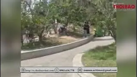 Không chịu đứng nắng chụp ảnh với khách, chú chó Alaska bị chủ đá.nh đến gãy cây khiến dân tình bức xúc