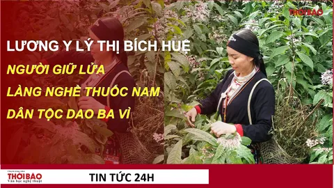 Lương y Lý Thị Bích Huệ - Người giữ lửa cho làng nghề thuốc nam dân tộc Dao Ba Vì