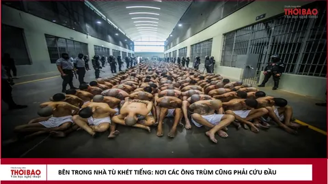 Bên trong nhà tù lớn nhất Mỹ La Tinh ở El Salvador: Khi các ông trùm ma túy phải ngoan ngoãn cúi đầu