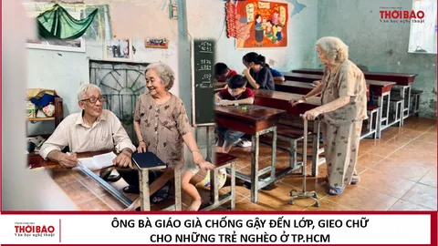Ông bà giáo già chống gậy đến lớp, gieo chữ cho những trẻ nghèo ở TP.HCM