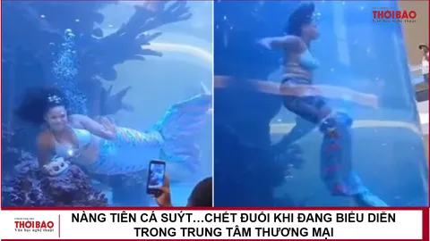 Nàng tiên cá suýt…chết đuối khi đang biểu diễn trong trung tâm thương mại