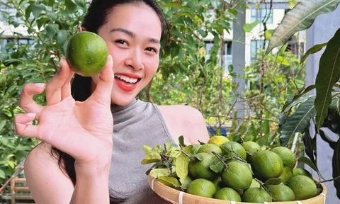 “Ngọc nữ trăm tỷ” tuổi 33 làm mẹ đơn thân, sống trong nhà phố 100m², lên sân thượng là cả vườn rau trái xanh mướt