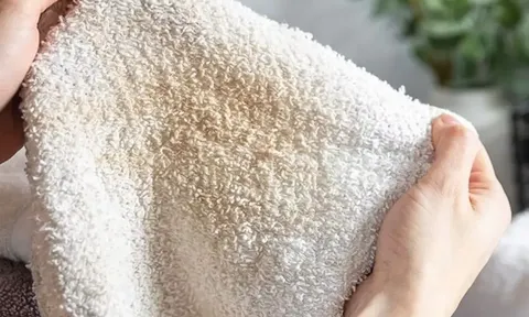 8 món đồ nhà nào cũng có, nếu xuất hiện dấu hiệu này nên vứt ngay, càng tiếc giữ lại càng tiềm ẩn nguy cơ