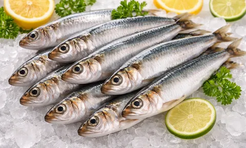 Loại cá thân bạc óng ánh, xưa ít người chuộng nay thành đặc sản tới 80.000 đồng/kg, chuyên gia dinh dưỡng Mỹ "hết lời khen"