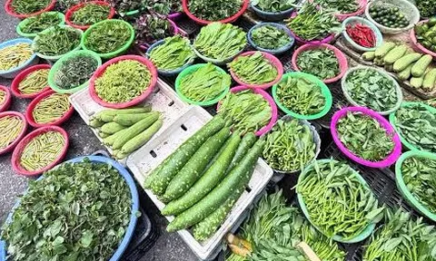5 loại rau được mệnh danh là "rau sạch trời cho", ít ngậm thuốc trừ sâu, có loại mọc đầy vườn nhà