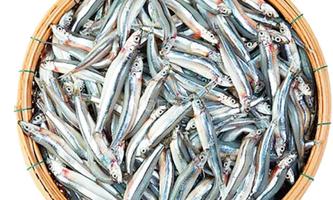 4 loại cá tốt cho tim mạch và xương khớp, giàu omega-3, có loại rẻ tiền bán đầy chợ Việt nhiều người thường ăn