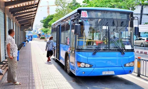 Tp.HCM lập chuyên án điều tra việc quấy rối tình dục trên xe buýt
