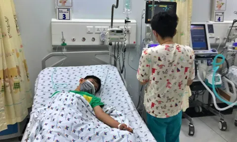 Tp.HCM khẩn trương ứng phó với dịch sốt xuất huyết diễn biến phức tạp