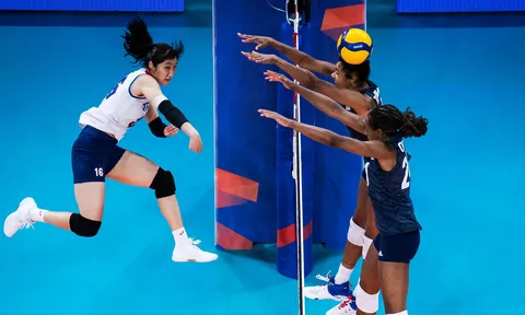 Link xem trực tiếp bóng chuyền nữ VNL 2023 ngày 3/6: Hàn Quốc vs HCV Olympic