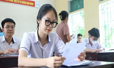 Đáp án đề thi môn Sinh học kỳ thi tốt nghiệp THPT 2023 mã đề 221