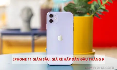 Giá iPhone 11 giảm sập sàn đầu tháng 9, rẻ bằng nửa Galaxy S23 Ultra, là iPhone rẻ nhất hiện nay