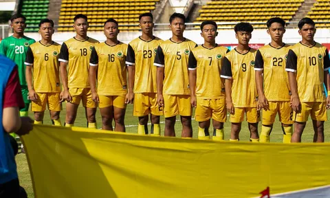 FIFA phạt nặng một đội tuyển Đông Nam Á, dừng hẳn gần như mọi hoạt động