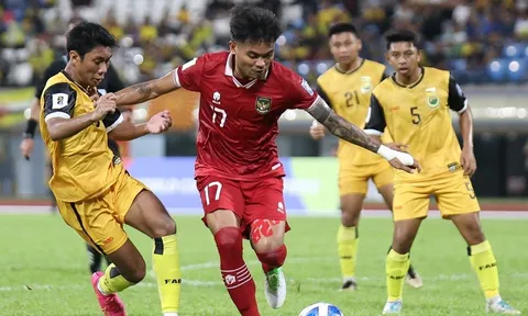 Đã rõ khả năng một đội tuyển Đông Nam Á bị xóa khỏi FIFA