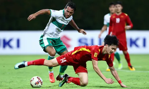 CĐV Châu Á dự đoán bất ngờ về trận đấu Việt Nam vs Indonesia tại Asian Cup