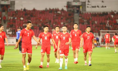2 tuyển thủ ĐT Việt Nam bị AFC phạt gần 50 triệu
