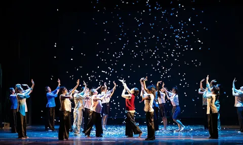 Showcase 2026: Mắt lưới - Khi những số phận mắc kẹt trong cạm bẫy vô hình