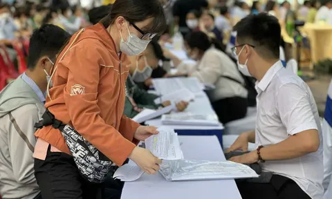 Hưởng trợ cấp thất nghiệp có ảnh hưởng đến lương hưu sau này không?