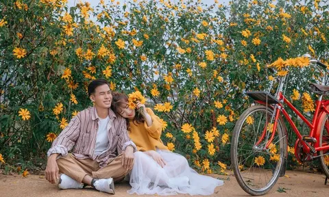 Những mùa hoa Đà Lạt trong tháng 11