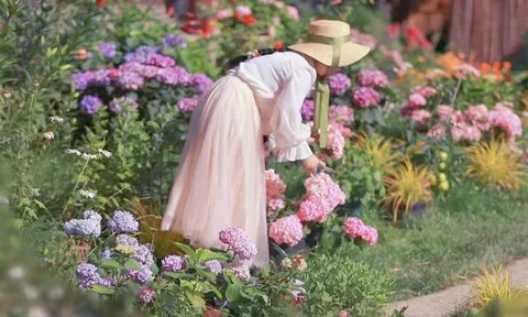 Cô gái trẻ bỏ phố về sống những ngày đẹp như mộng khi cải tạo mảnh đất trên núi thành khu vườn ngập tràn sắc hoa