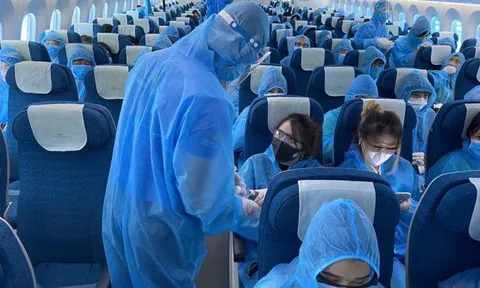 Tổ bay vi phạm quy định cách ly, hãng hàng không sẽ không được bay quốc tế