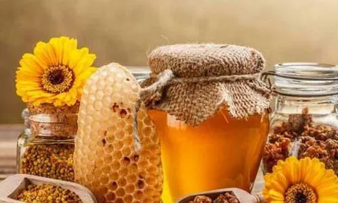 Những lợi ích tuyệt vời của mật ong đối với sức khỏe con người