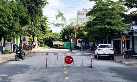 Cảnh di dời cây đa hơn 200 tuổi ở Quảng Ngãi