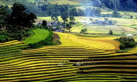 Khởi động du lịch trong trạng thái 'bình thường mới'