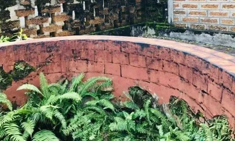 Đoàn làm phim hài Tết tô trát, bôi vẽ giếng cổ ở Hà Nội lên tiếng xin lỗi