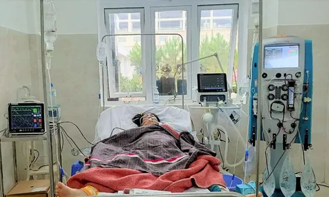 Lâm Đồng: Sự hồi sinh kỳ diệu của nữ bệnh nhân mắc Covid-19