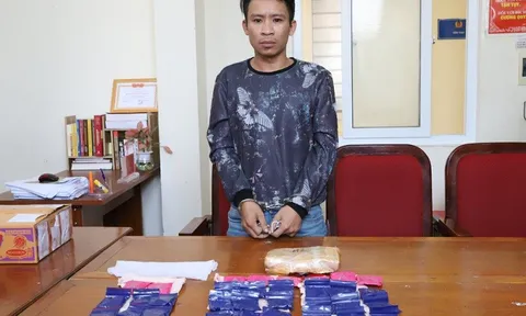 Hà Tĩnh: Bắt đối tượng vận chuyển 8.000 viên ma túy tổng hợp