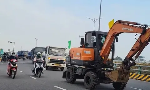 Đà Nẵng sôi động đầu năm: Máy móc rền vang, ngư dân bội thu lộc biển