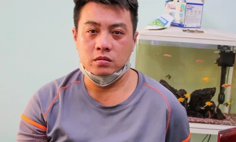 Bà Rịa-Vũng Tàu: Bắt nam thanh niên giật tài sản của phụ nữ chở con nhỏ
