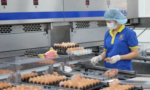 Tp.HCM: Giá xăng tăng liên tục, doanh nghiệp "căng mình" bình ổn giá