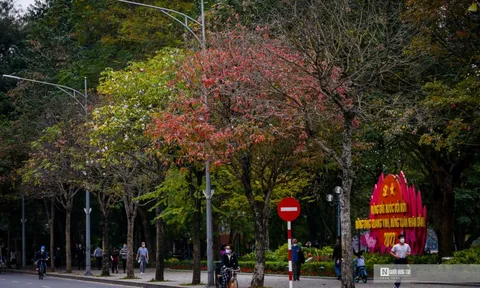 Hà Nội lãng mạn mùa thay lá